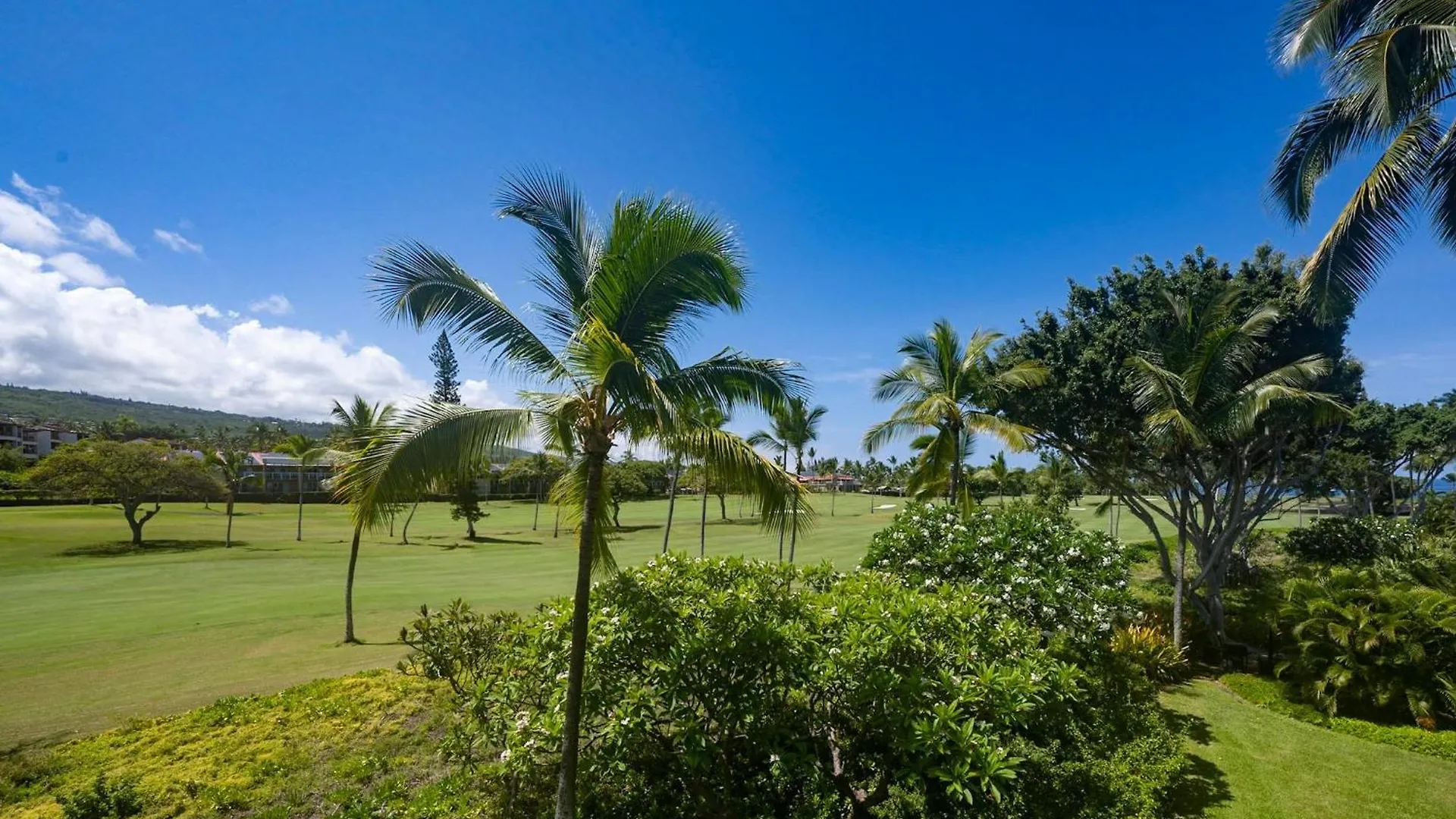 Checahale: Gorgeous Top Floor Corner With Ac Kailua-Kona 0*,